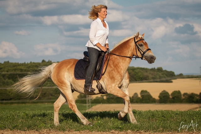 Pferdeshooting mit fenjArt Fotografie reiterin galoppiert mit einem haflinger ueber eine wiese